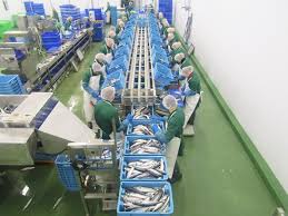 Image of Denholm Seafoods processing.