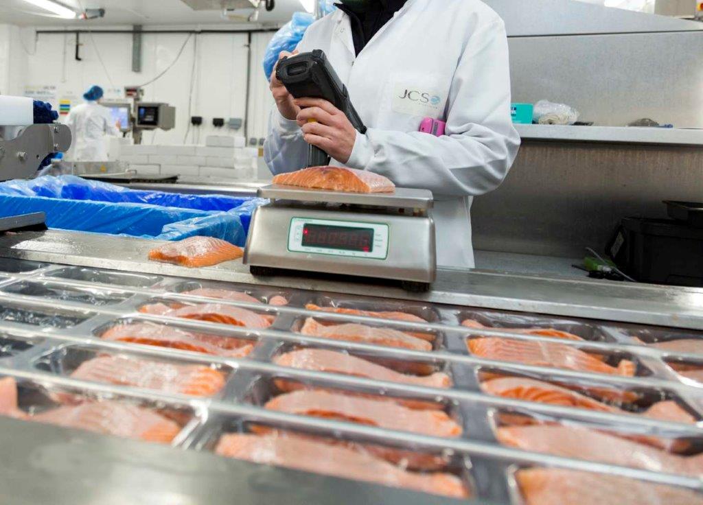 Image of salmon portions being weighed at JCS.