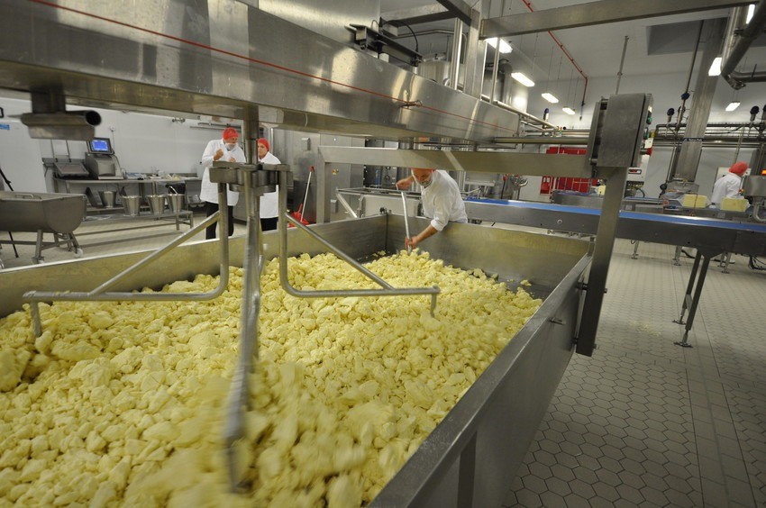 Image from SI onsite at SCC South Caernarfon Creameries cheese makers.