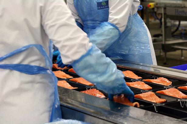 Image of workers at Seachill putting salmon portions into packages.