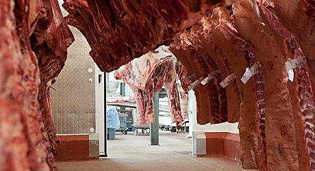 Carcass management and every stage of meat processing can be managed with SI's software