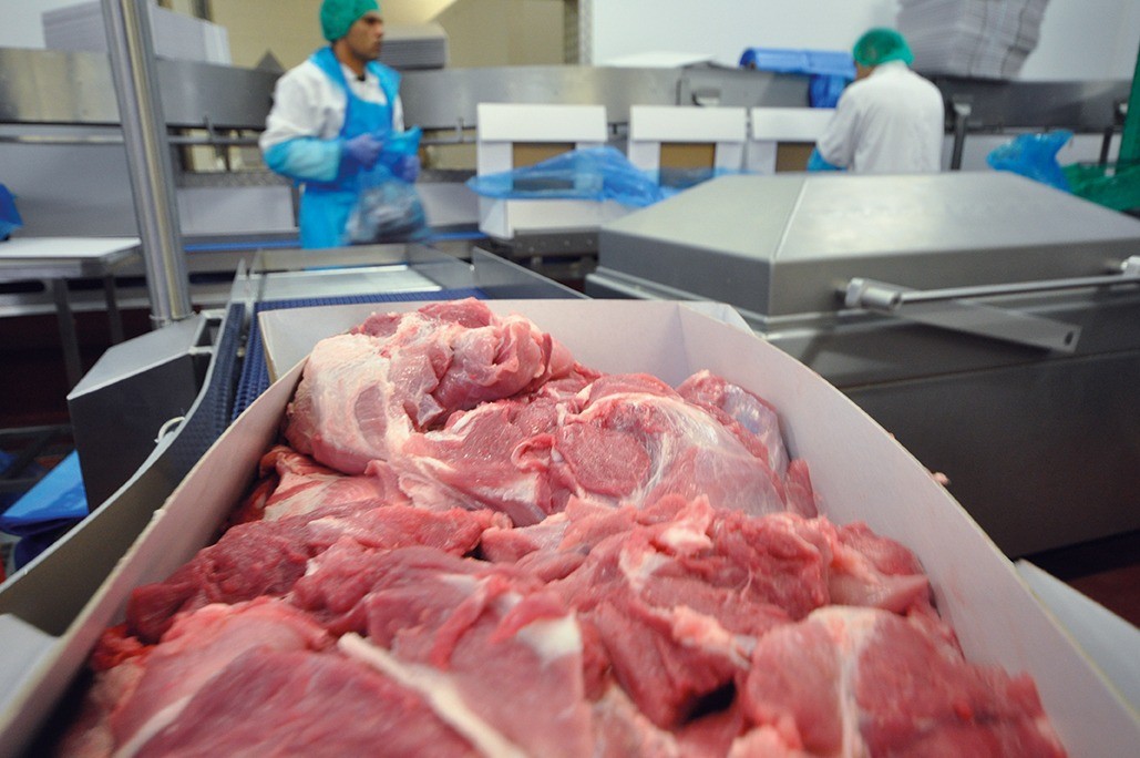 image showing box of cut and trimmed pork at processing plant