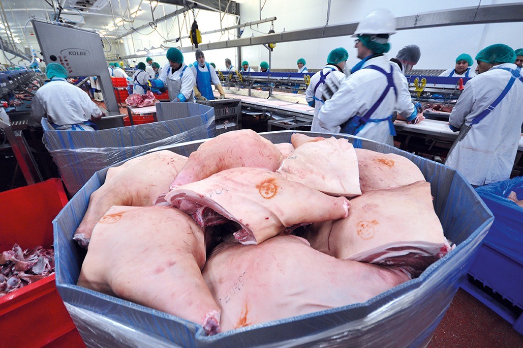 image showing UK pork processing plant