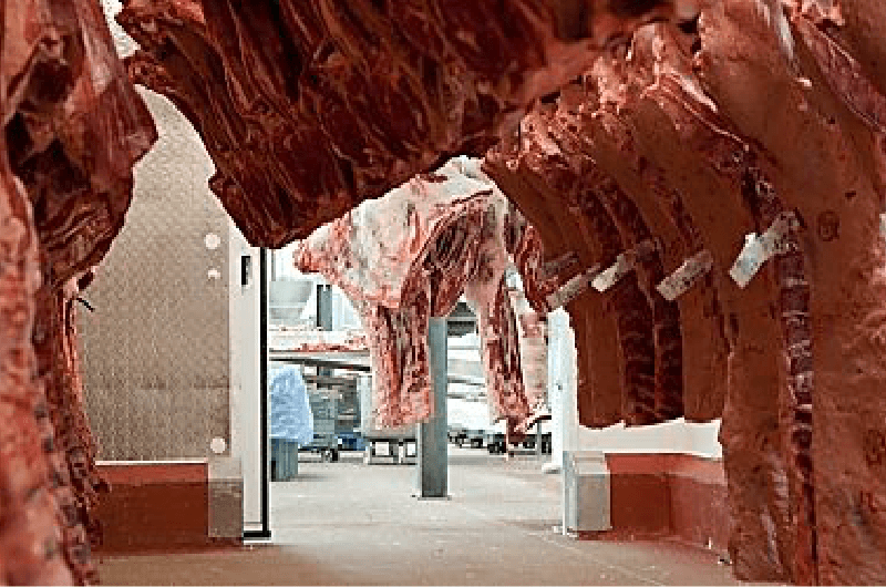 Meat Processing