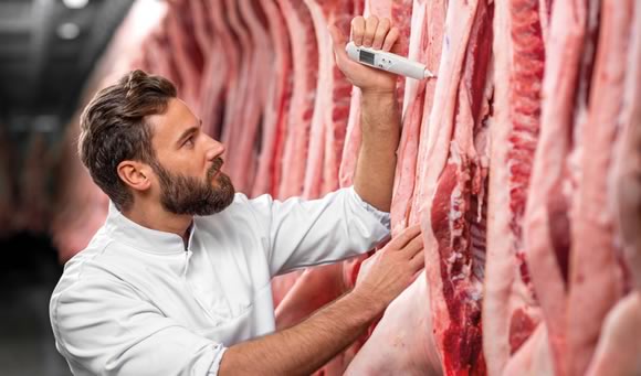 Man probing meat carcass