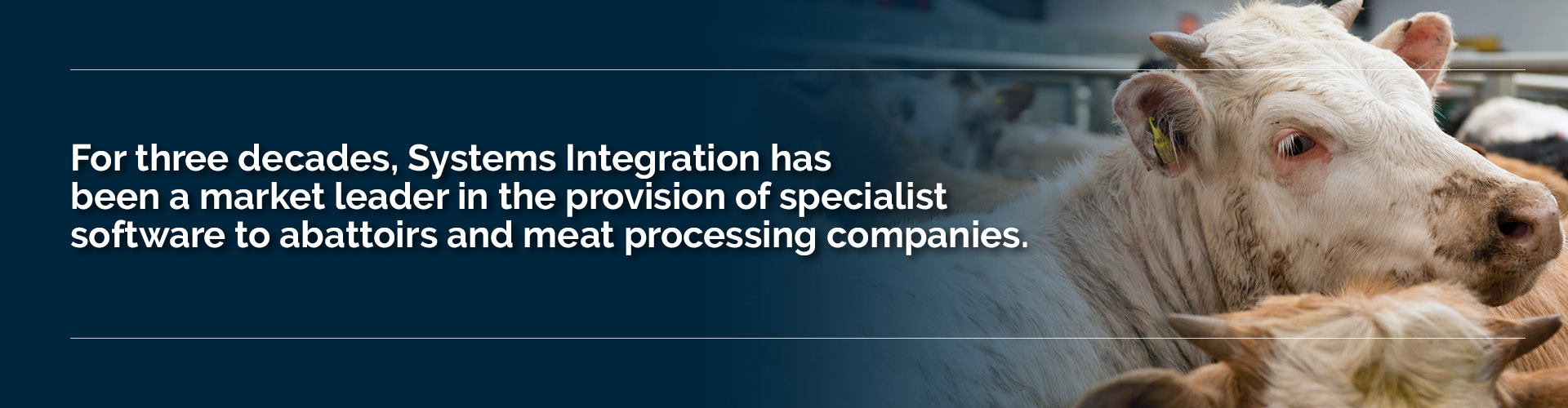 For three decades Systems Integration has been market leader for abattoir and meat processing software
